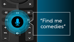 Voice Activated Remote