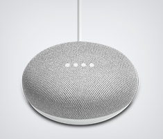 Google Home Mini